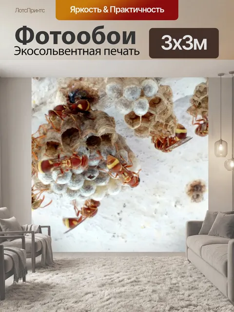 Фотообои Работа в команде Улей