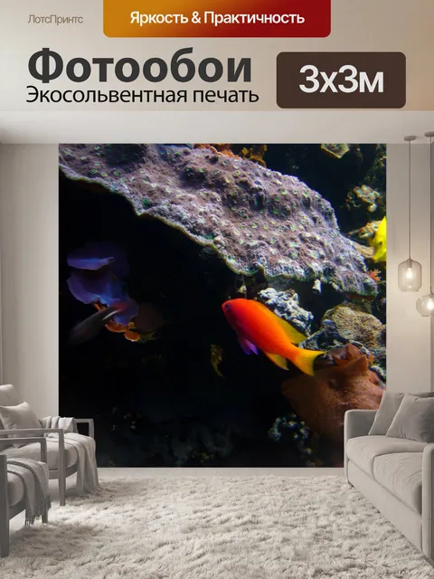 Фотообои Рыба