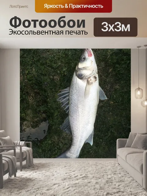 Фотообои Морской окунь
