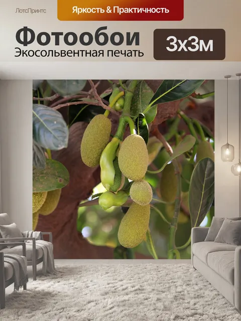 Фотообои Лист