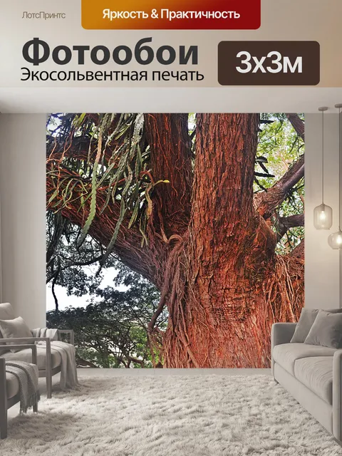 Фотообои Большое дерево