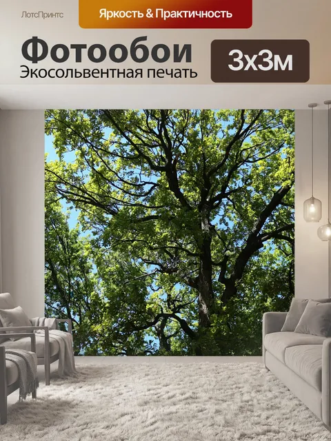Фотообои Россия