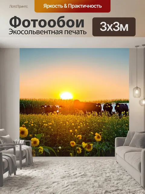 Фотообои закат на ферме, где коровы возвращаются к загону, а яркие цветы хлопка и кукурузы расцветают в последний…