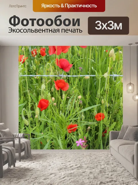 Фотообои Красочные Полевые цветы Красные маки