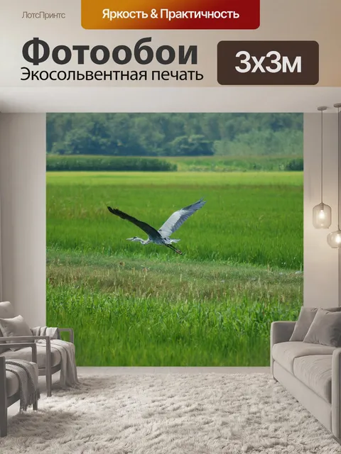 Фотообои Серая цапля