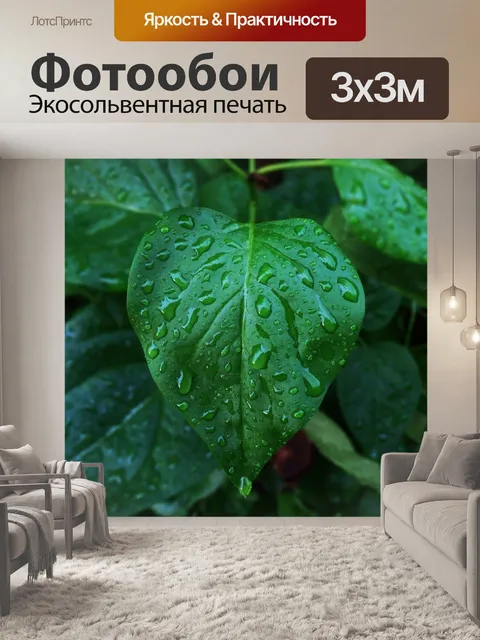 Фотообои Лист