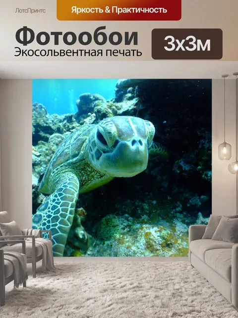 Фотообои Черепаха