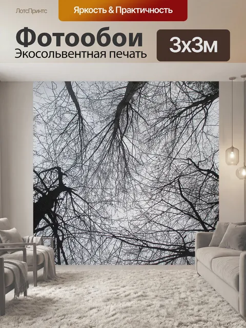 Фотообои Деревья без листьев