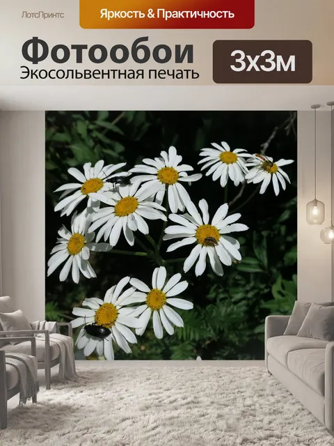 Фотообои Цветы