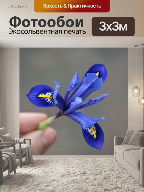 Фотообои Для тебя