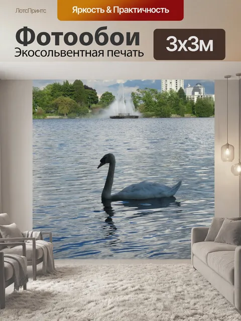 Фотообои Лебедь
