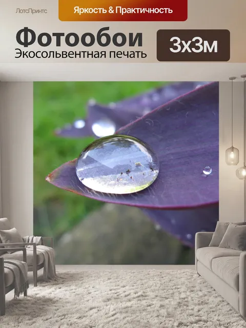 Фотообои Капля воды