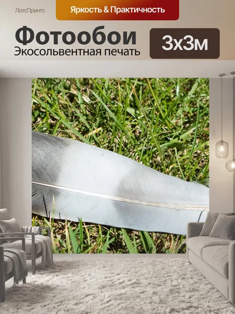 Фотообои Перо