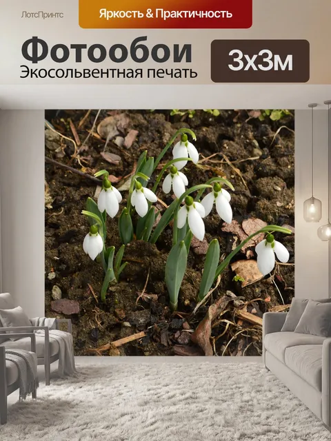 Фотообои Подснежник