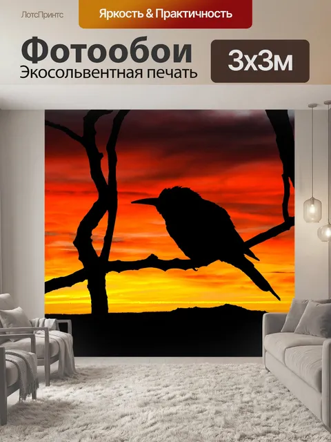 Фотообои Силуэт птицы на закате