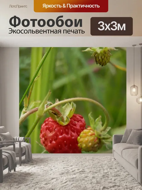 Фотообои Земляничная поляна