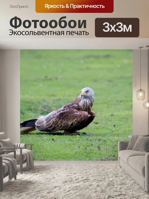 Фотообои Охотник
