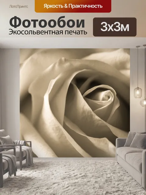 Фотообои Rose