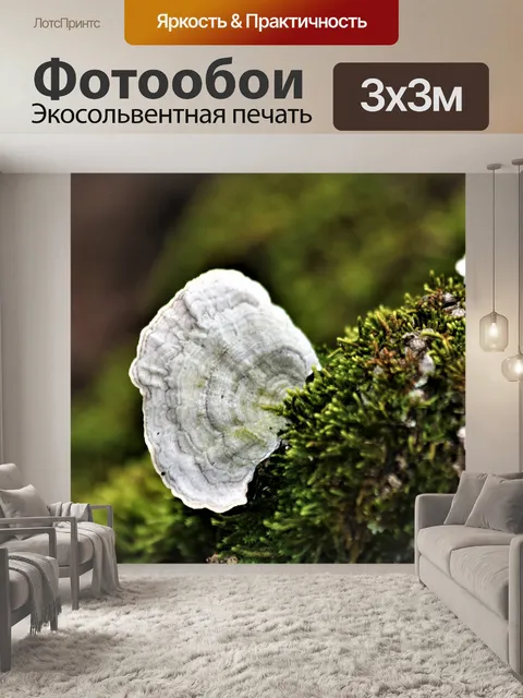 Фотообои Ложные грибы индейки на хвосте