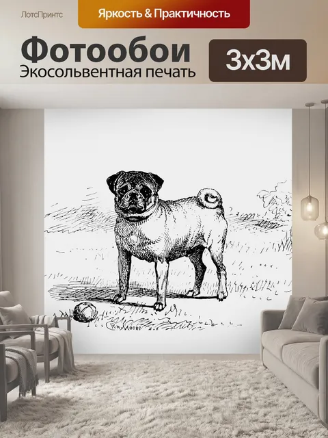 Фотообои Мопса Винтаж Иллюстрация