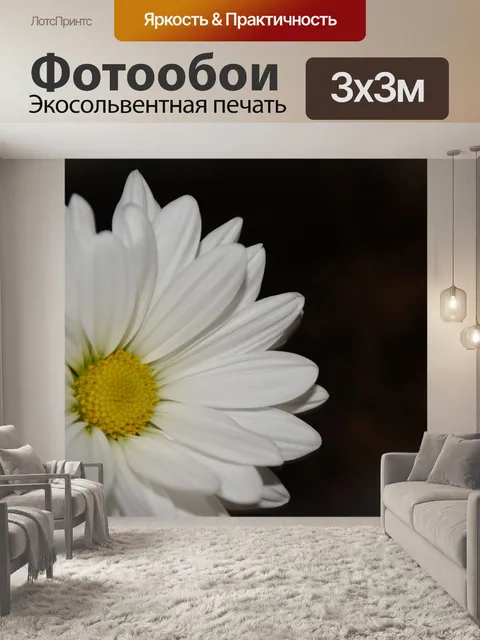 Фотообои Ромашки Цветет Цветы Макро