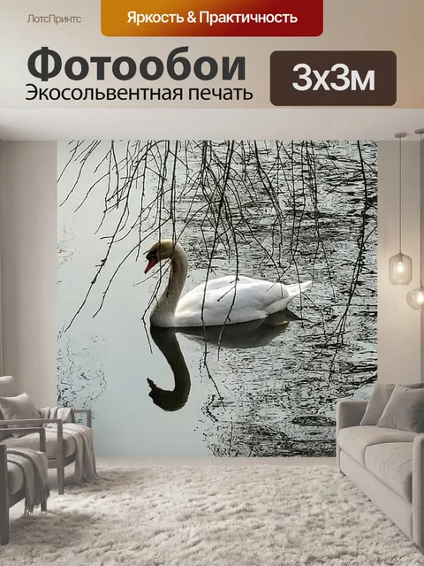 Фотообои Лебедь