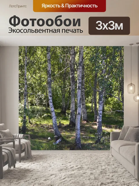 Фотообои Березы