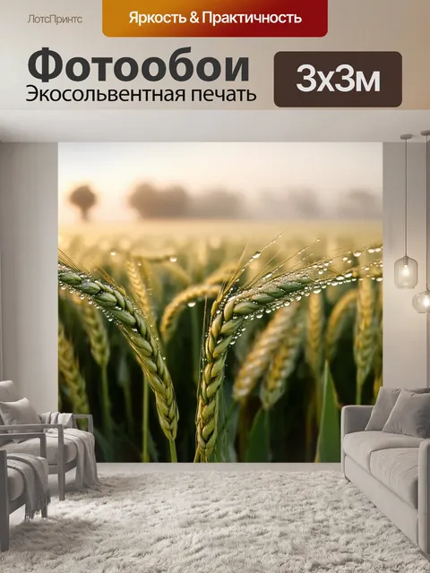 Фотообои утренний туман над полем пшеницы, когда комбайн начинает свою работу, вдыхая свежий воздух
