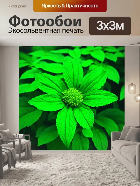 Фотообои зеленые в стиле полароидная фотография