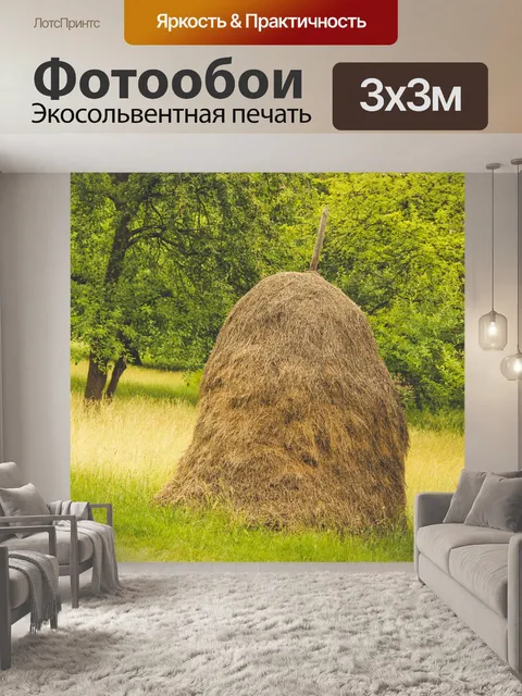 Фотообои Старая модная сена