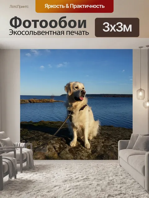 Фотообои Собака