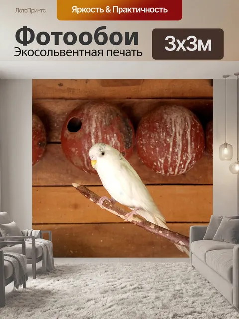 Фотообои Природа