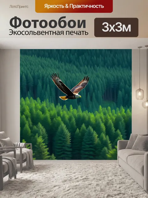 Фотообои летящий над лесом орел