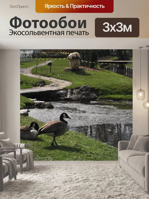 Фотообои Гуси