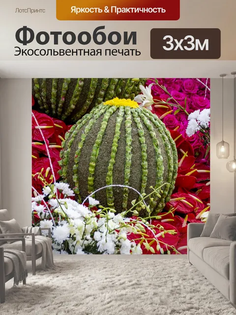 Фотообои бочковый кактус