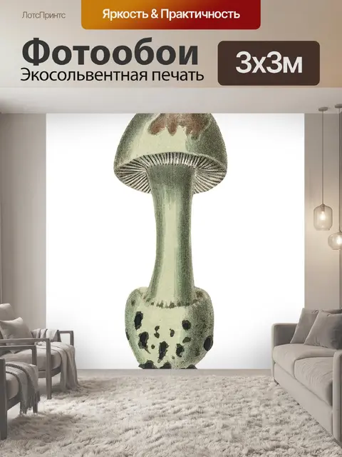 Фотообои Винтаж Клипарт Гриб Чемпион