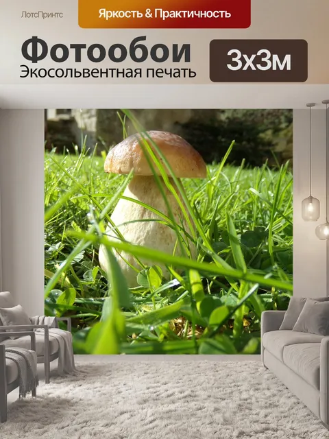Фотообои Белые грибы