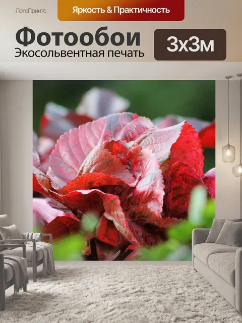 Фотообои Естественный