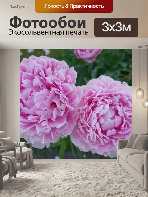 Фотообои Пеоны