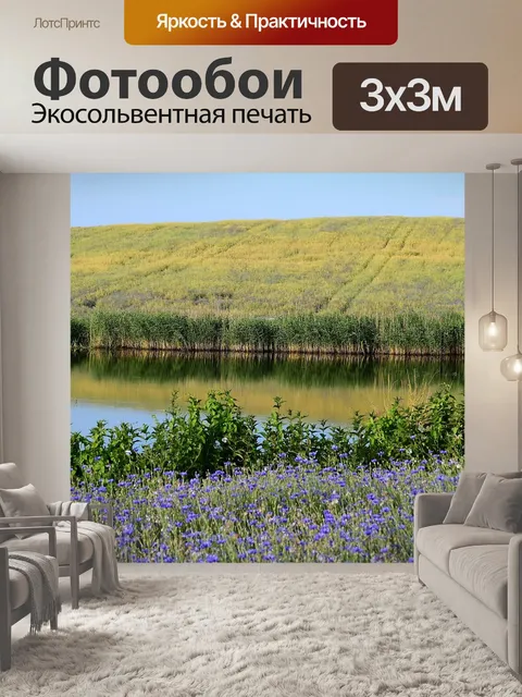 Фотообои Поле