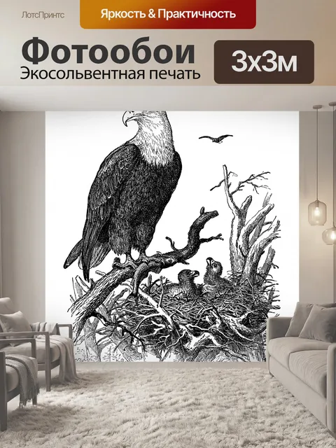 Фотообои Белоголовый орлан Орлиное гнездо Винтаж