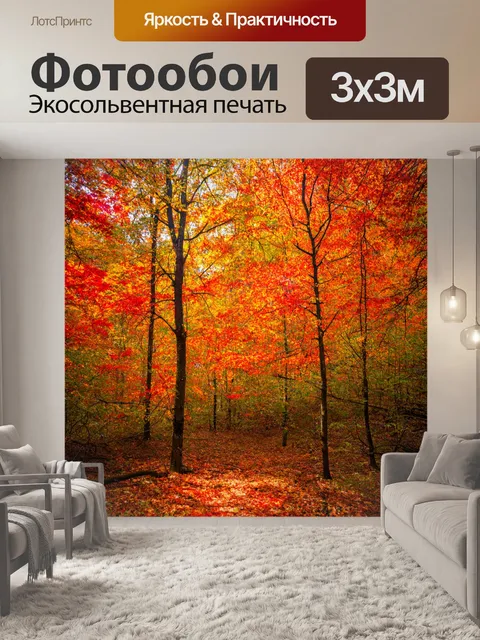 Фотообои осень с яркими деревьями в оранжевых и красных тонах, покрытыми листвой