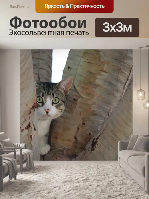 Фотообои Кошка