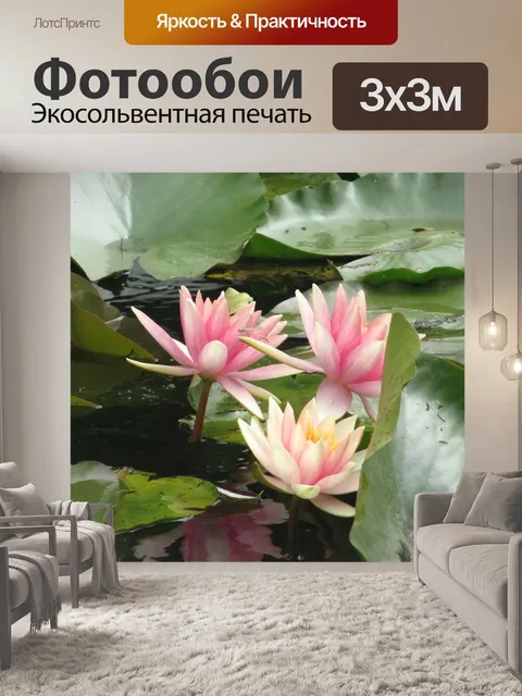 Фотообои Водяные лилии