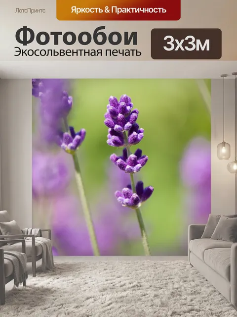 Фотообои Лаванда цветок крупным планом