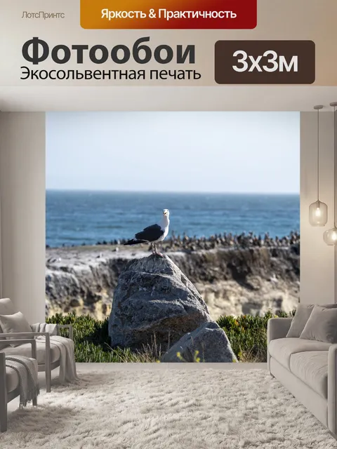 Фотообои Чайка и пеликаны