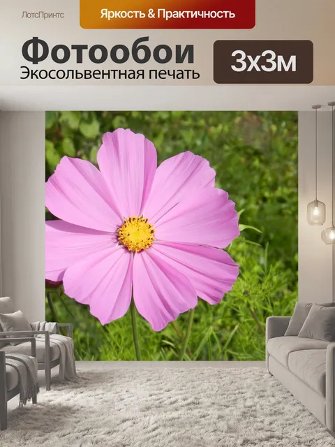 Фотообои Космос Соната 2018 8