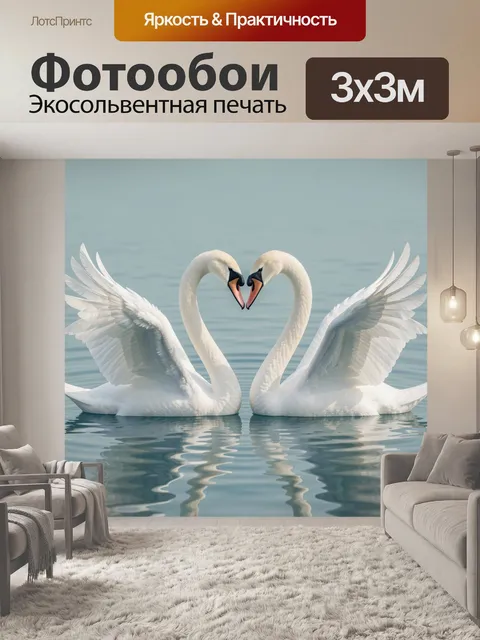 Фотообои Пара белых лебедей на воде