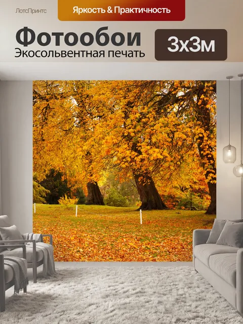 Фотообои Осенью в парке
