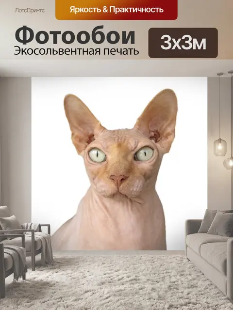Фотообои Сфинкс